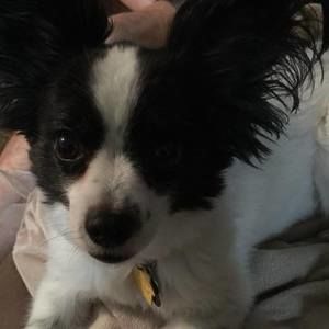 Meet your Posher, Terri